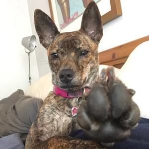 Meet your Posher, Jim